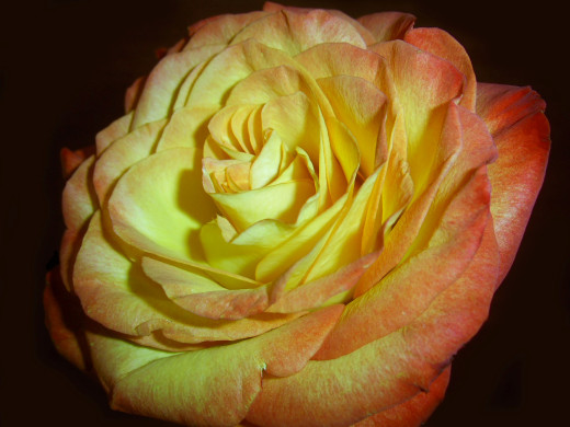 435916 (a): :2592x1944